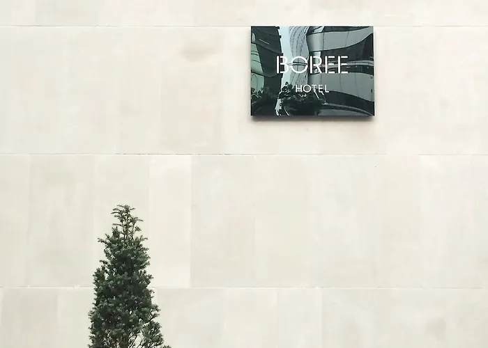 Boree Gangnam ソウル特別市
