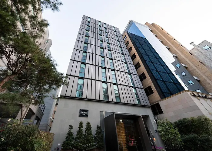 Boree Gangnam ソウル特別市